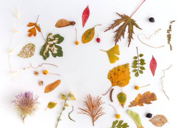 Sonbahar düzleşmesi, üst görünüm yaratıcı model düzenleme.