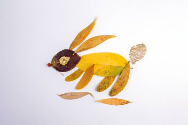 sonbahar yaprakları kullanılabilir