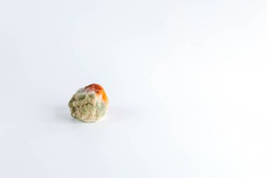 Beyaz arka planda küflü çürük portakal mandalinası, bozulmuş meyve, eski kötü yemek, yenmez.