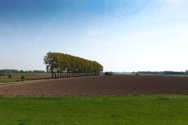 Çiftçilik Arazisi / Hollanda 'daki Kekedom' dan Uzak Görüş