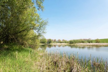 Kekedom Dike / Hollanda 'ya doğru bak