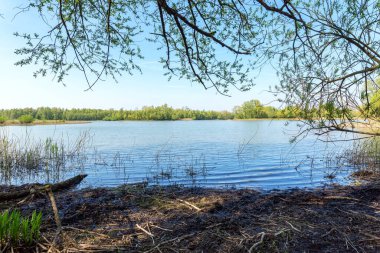 Kekedom / Hollanda 'daki Nature Reserve' de Lakeview