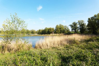 Kuş İzleme İstasyonu / Hollanda 'dan Millingerwaard 