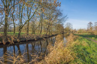 Tranquil Nehri Schwalm Doğa Rezervinde / Almanya 