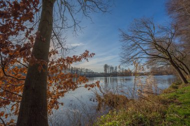 Almanya / Göl 'de Güneşli Kış Günü