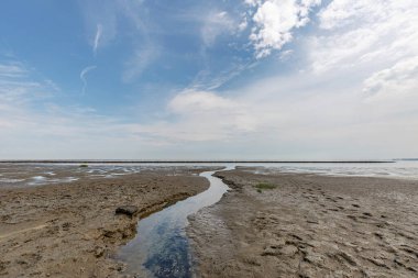 Sylt Wadden Denizi / Almanya 'da gelgite yakın çekim