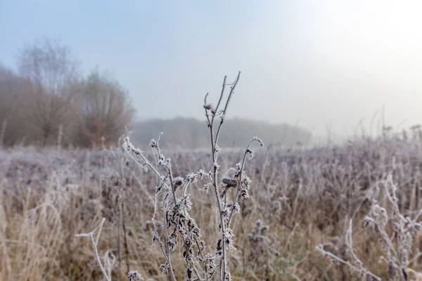 Fabrikanın tamamı Buz / Almanya ile kaplandı