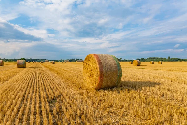 Krefeld / Almanya 'da Hay Balya Yığını