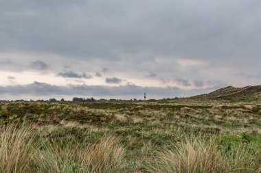 Kampen Heathland 'da Kampen Deniz Feneri / Almanya' ya Bakış