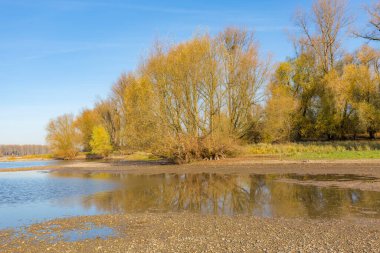 Ren Nehri Kumulları / Almanya 'daki Büyük Gölet' te Su Yansıması