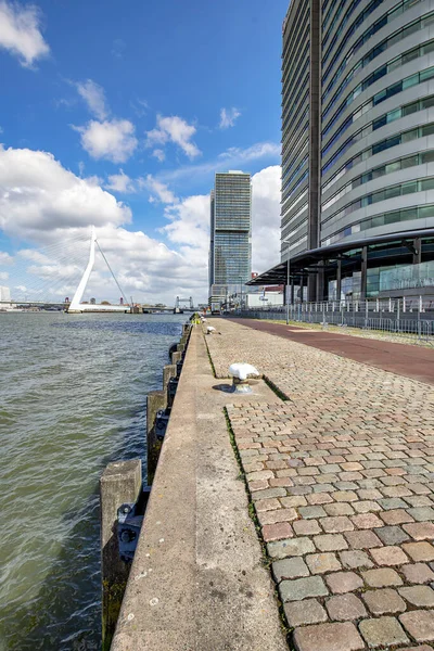 Rotterdam Vista Kop Van Zuid Erasmus Bridge Nieuwe Maas Olanda — Foto Stock