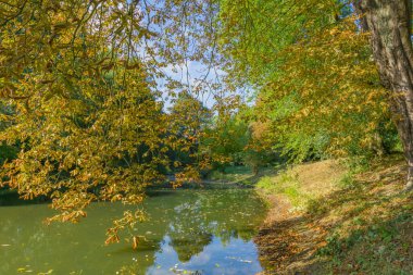 Büyük Kestane Ağacı dereyi ve Almanya 'yı bir kenara