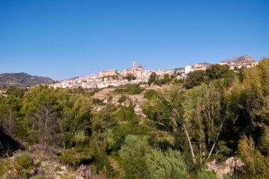 Ağaçların arasında parlak mavi gökyüzü ve çam ağaçları olan bir dağ köyü,
