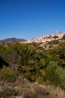 Ağaçların arasında parlak mavi gökyüzü ve çam ağaçları olan bir dağ köyü,