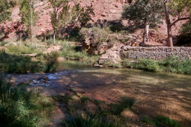 Sakin ve şeffaf suları olan dağ nehri, doğa, bitki örtüsü, çiçekler, şelale, taş duvar