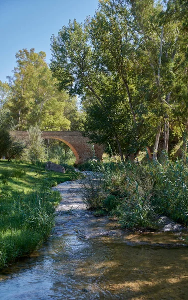 Fiume Montagna Con Acque Calme Trasparenti Natura Vegetazione Fiori Ponte — Foto Stock