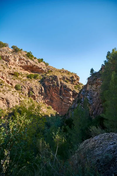 Berglandschaft Einem Sonnigen Tag Felsen Kiefern Grün Strahlend Blau — Stockfoto