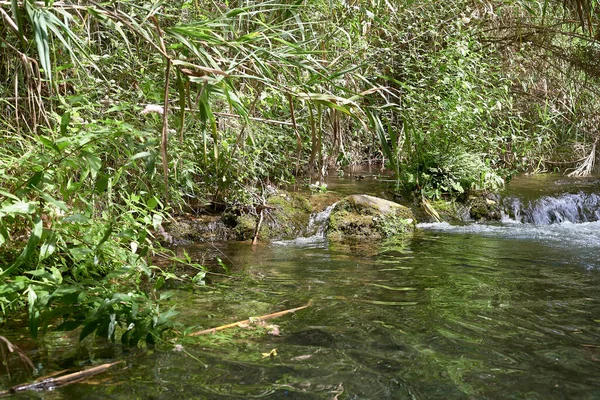Paisaje Idílico Agua Vegetación Verde Cristalino Cañas Cascada —  Fotos de Stock