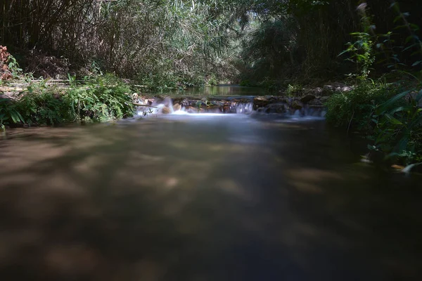 Fiume Acque Trasparenti Tra Vegetazione Idilliaco Lunga Esposizione — Foto Stock