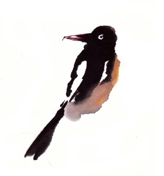 Chinese Style Watercolor Bird Magpie White Background — Stock Photo, Image