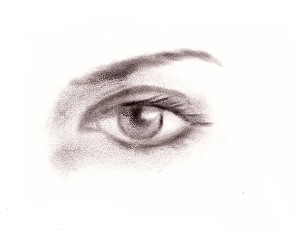 Black White Graphic Drawing Isolated Beautiful Human Female Eye High — Stock Photo, Image