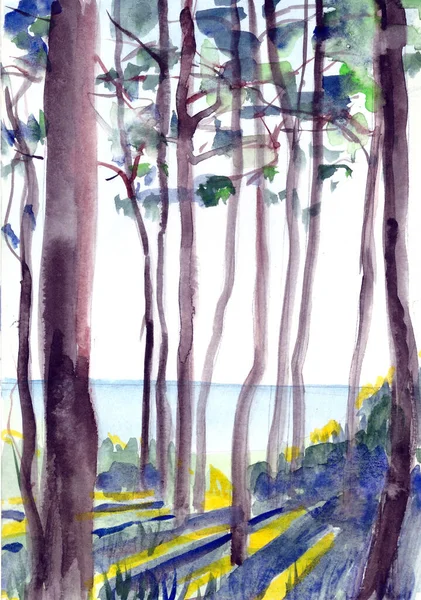 Aquarela Pinheiros Costeiros Arbustos Praia Luz Noite Ilustração Alta Qualidade — Fotografia de Stock