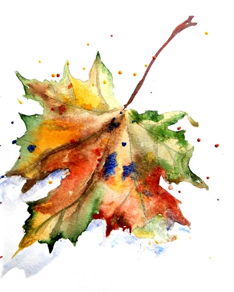 Акварельный Многоцветный Осенний Кленовый Лист Цветными Брызгами Высокое Качество Иллюстрации — стоковое фото
