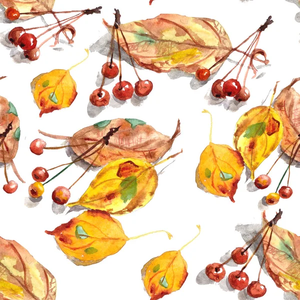 Бесшовный Узор Акварельного Набора Осенних Листьев Маленьких Декоративных Райских Яблок — стоковое фото