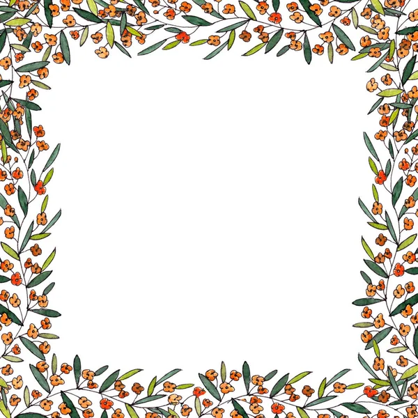 Rama Gałęzi Długimi Liśćmi Pomarańczowymi Kwiatami Białym Tle Wysokiej Jakości — Zdjęcie stockowe