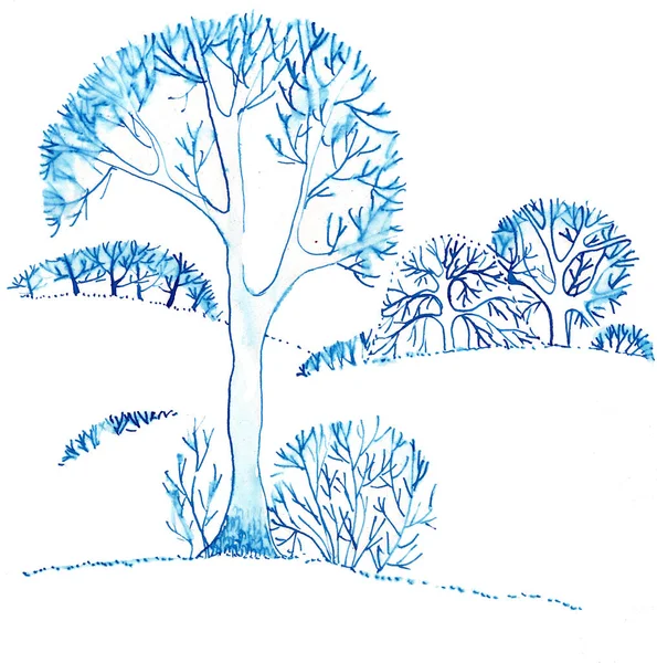Contorno Monocromático Desenho Linear Paisagem Inverno Azul Ilustração Alta Qualidade — Fotografia de Stock