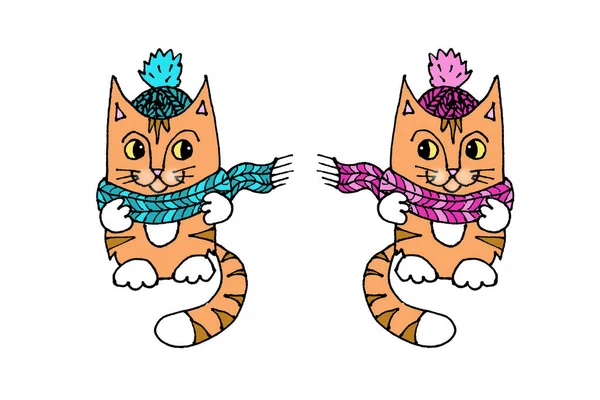 Linear Color Graphic Drawing Two Ginger Cats Knitted Pink Blue — Stock Photo, Image