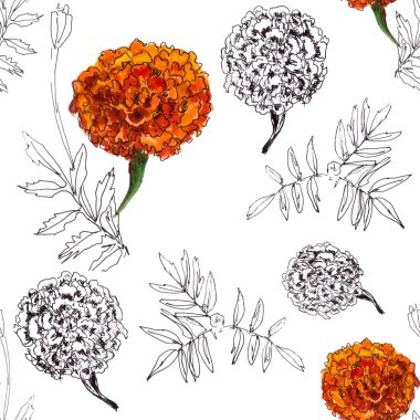 seamless pattern of watercolor and graphic drawing botanical illustration of flowers and branches of marigold. High quality illustration