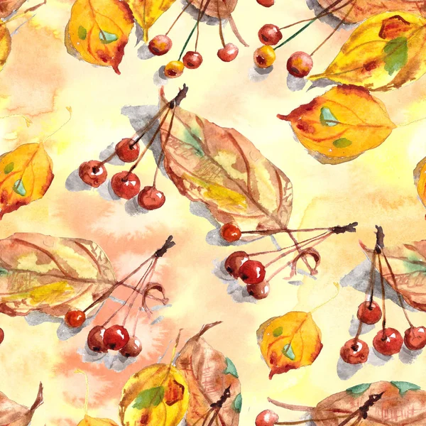 Бесшовный Узор Акварельного Набора Осенних Листьев Небольших Декоративных Райских Яблок — стоковое фото