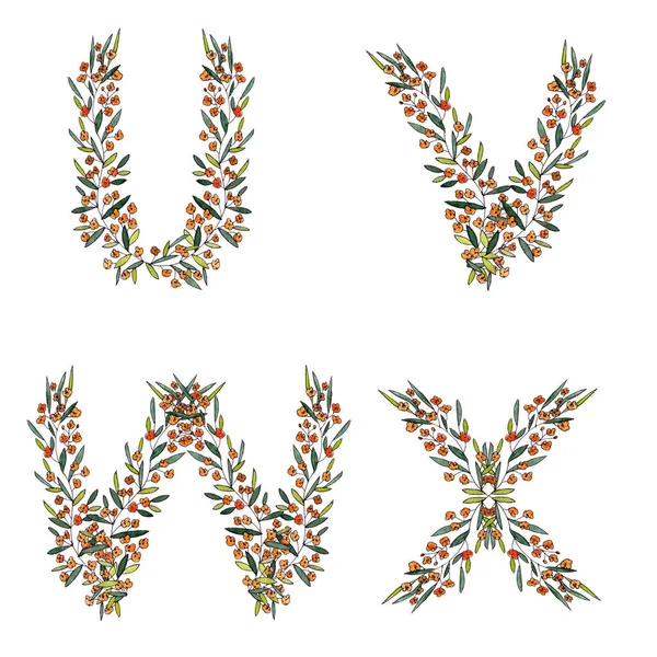白色背景上花卉字母表中的字母 高质量的例证 — 图库照片