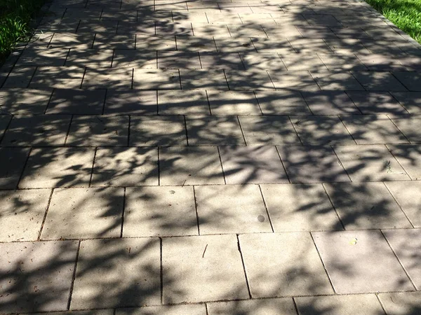 Verschwommene Schatten Von Bäumen Auf Einem Gepflasterten Fußweg Hochwertiges Foto — Stockfoto