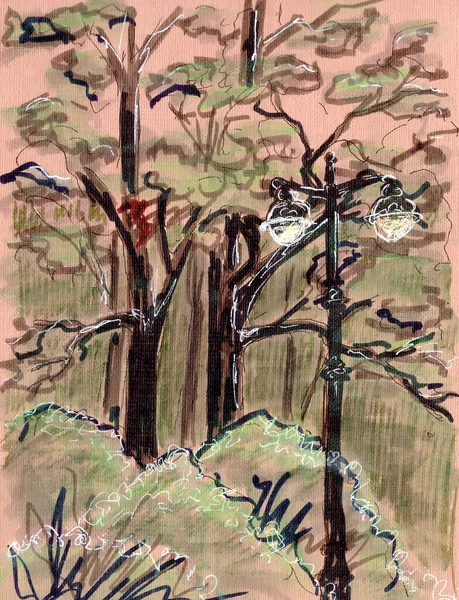 Linternas Arbustos Árboles Sobre Fondo Marrón Boceto Gráfico Color Ilustración — Foto de Stock