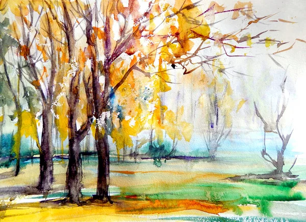 Acuarela Dibujo Bosque Otoño Parque Con Follaje Amarillo Ilustración Alta — Foto de Stock