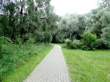 Eski ağaçların, çalıların ve çimlerin arasında bir yaz parkında patika.