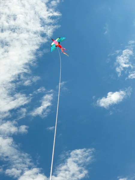 蓝蓝的夏日天空 白云飘扬 风筝飘扬 — 图库照片