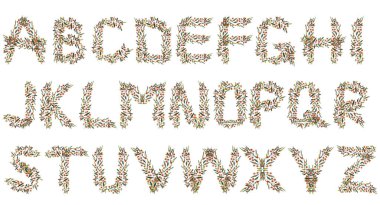 Çiçek alfabesi, alfabe, beyaz arka planda izole edilmiş harfler. Yüksek kaliteli illüstrasyon