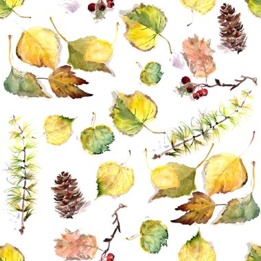 Sonbahar yaprakları, böğürtlenler ve külahlarla kusursuz desen, beyaz arka planda suluboya çizimi. Yüksek kaliteli illüstrasyon