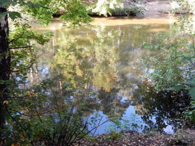 Göletteki ağaçların ve mavi gökyüzünün yansımaları. Yüksek kalite fotoğraf