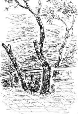 Deniz kenarındaki ağaçlar, grafik siyah beyaz desenler, seyahat çizimleri. Yüksek kaliteli illüstrasyon