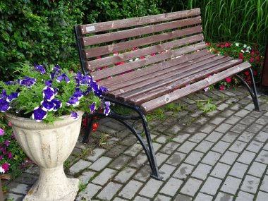 Asfalt kaldırımda çiçekli ahşap bank ve taş vazo. Yüksek kalite fotoğraf