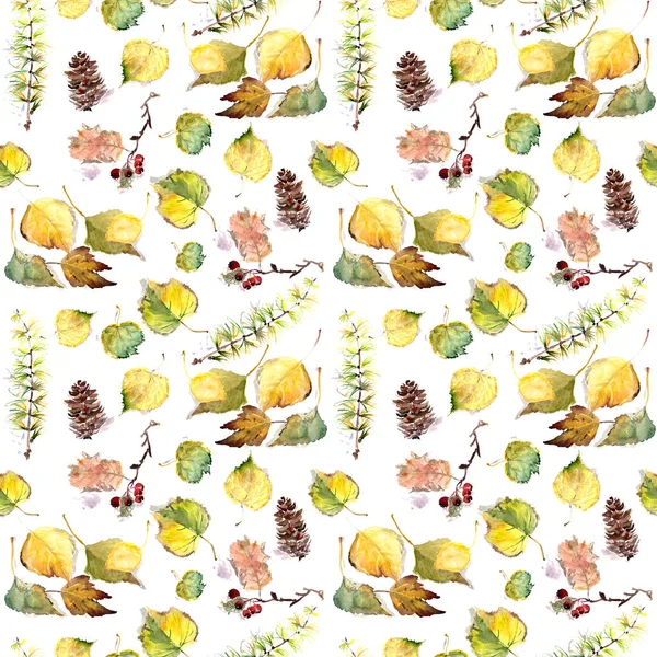 Bezszwowy Wzór Jesiennymi Liśćmi Jagodami Szyszkami Rysunek Akwarela Białym Tle — Zdjęcie stockowe