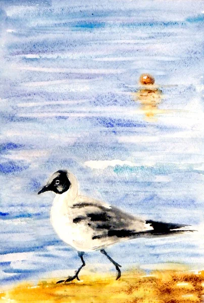 seagull with a black head walks on the sand along the sea. High quality illustration