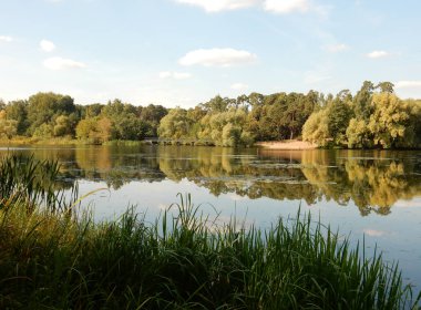 Gölün üzerinde söğüt ağacı filizleri ve ön planda çimenler, seçici bir odak noktası. Yüksek kalite fotoğraf