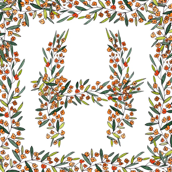 Buchstabe H des englischen und lateinischen floralen Alphabets. Grafik in quadratischem Rahmen auf weißem Hintergrund. Buchstabe H von Zweigen, die mit orangen Blüten blühen. — Stockfoto