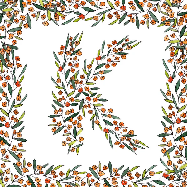 Buchstabe K des englischen und lateinischen floralen Alphabets. farbenfrohe Grafik in quadratischem Rahmen auf weißem Hintergrund. Buchstabe K von Zweigen, die mit orangen Blüten blühen. — Stockfoto