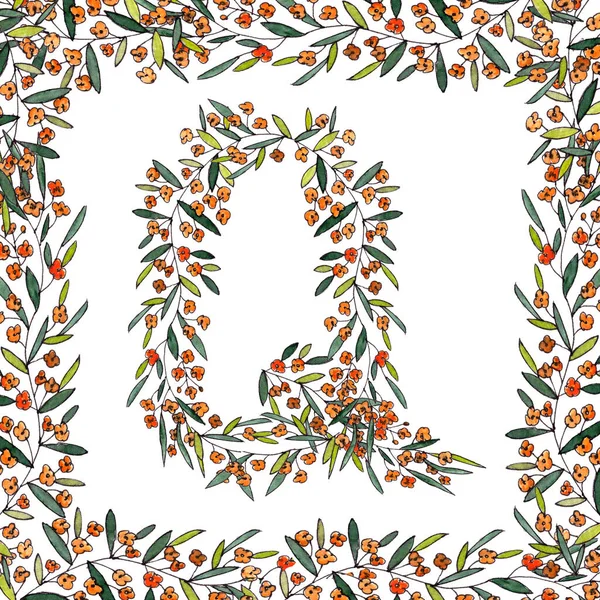 Buchstabe Q des englischen und lateinischen floralen Alphabets. farbenfrohe Grafik in quadratischem Rahmen auf weißem Hintergrund. Buchstabe Q von Zweigen, die mit orangen Blüten blühen. — Stockfoto